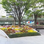 La Brianza - ヒルズの花壇。先週まであったチューリップがなくなったのわ、季節は移ろいゆくのね～