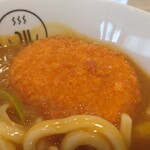 Korushika Udon - 