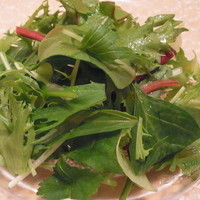 尾崎幸隆 - 