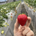 姫路ハートフル観光農園 - 