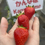 姫路ハートフル観光農園 - 