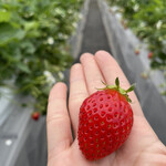 姫路ハートフル観光農園 - 