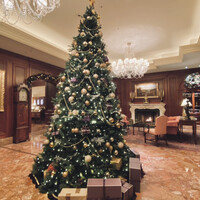 スプレンディード - 