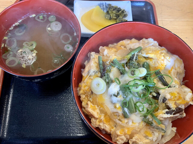 Hanayama Yamamoto photo 2