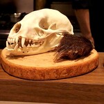 ラチュレ - 穴熊ちゃん。