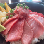 焼津港 みなみ - 中トロさんチーム