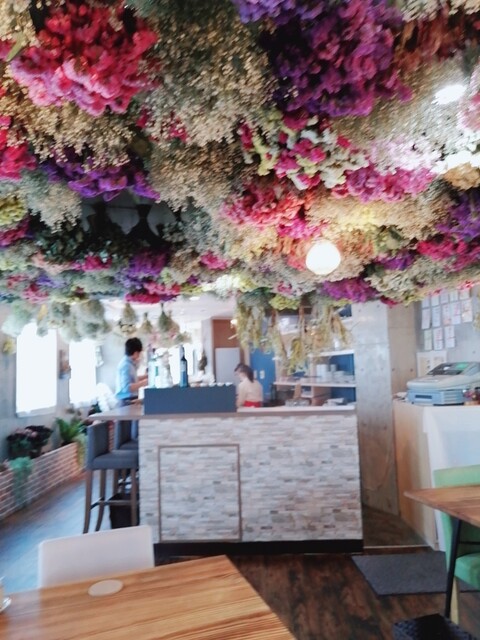 Dry Flower Cafe Coco ドライフラワー カフェ ココ なかもず 大阪メトロ カフェ 食べログ Dry Flower Cafe Coco ドライフラワー カフェ ココ なかもず 大阪メトロ カフェ 食べログ