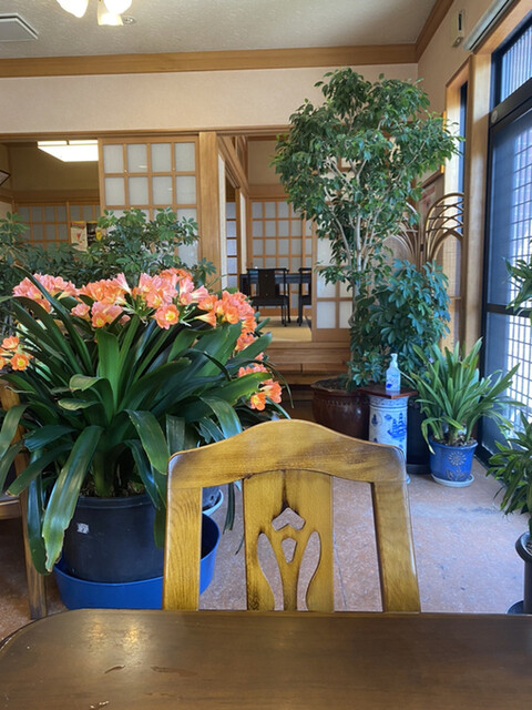 だいよし食堂 - 磐城塙（食堂）の写真