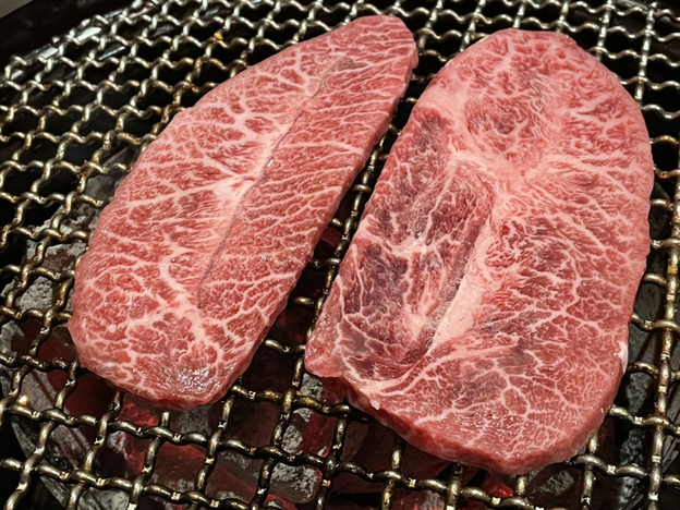 焼肉牛勢 本厚木店 本厚木 焼肉 ネット予約可 食べログ