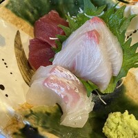 魚竹 - 