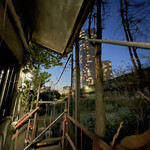 TOKIO フレンチ ルナティック - 