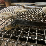 まほろば囲炉裏 - 