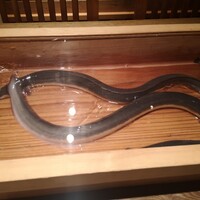 にょろ助 銀座 - 