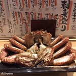 Kakashiya - 毛蟹 姿盛り