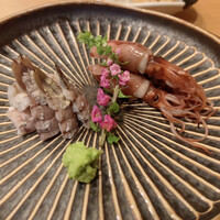 鮨 石島 - おつまみ　ホタルイカ、しゃこ