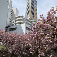 Restaurant Re: - 
