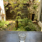 Garden Cafe home - カウンター席から中庭を見て