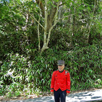 オーベルジュ・オー・ミラドー - Mr. Au Mirador!!