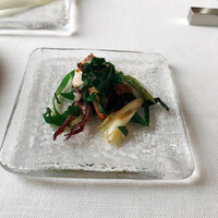 サーラ アマービレ - 