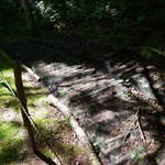 中房温泉 - 敷地内できのこの栽培もしている。晩秋には、山の幸が食卓に並ぶのだろう