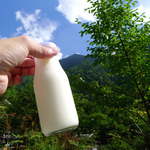 中房温泉 - 北アルプス牧場の特濃牛乳。太陽を浴びながら、外でゴクリと！