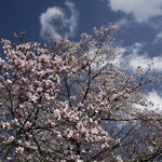 エスプリモダン めろん - 