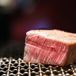 Yakiniku Kappou Gokyou Pontochou Bettei - 