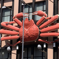 かに道楽 横浜店 - 