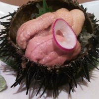 函館うに むらかみ 日本生命札幌ビル店 - 