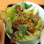 燈台下焼肉センター - 焼肉定食 １２００円 サラダ