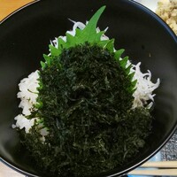 お料理 とみやま - 釜揚げしらす丼