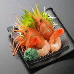 Extra large Botan shrimp sashimi