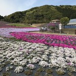 炭火焼うなぎ 東山物産 - 