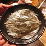 温石 - キレイに並べられた豆鯵