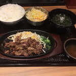 カルビ丼とスン豆腐専門店 韓丼 - ボリュームすごい！味はついており
            塩胡椒とニンニク、タレもついてます。
