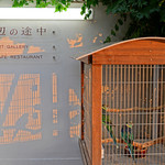 海辺の途中 - インコのシルエット