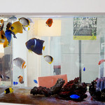 海辺の途中 - 店内中央に大きな水槽