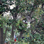 海辺の途中 - 野鳥の巣箱も〜♬