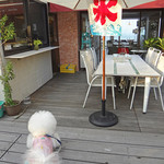 海辺の途中 - アンも海を見ています