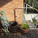 海辺の途中 - ネコのお出迎え