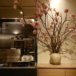 イル アオヤマ - 