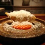 イル アオヤマ - 