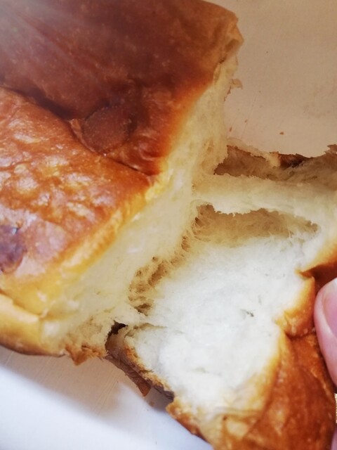 朝起きたら君がいた 千里中央 パン 食べログ