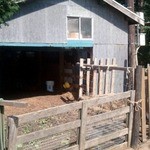 メーメーベーカリー - 外観８