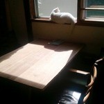 メーメーベーカリー - 店内２（ネコが可愛い）