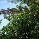 てんtoてん - 店内より