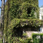 てんtoてん - 外観は、不思議ワールド