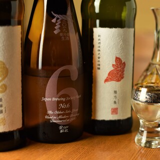 さくら 鳥居坂_1