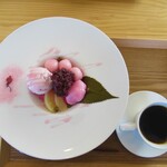 とらや菓子店 比角本店 - 白玉クリームあんみつ春Ver.