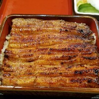 うなぎ 目白ぞろ芽 - うな重 アップ
